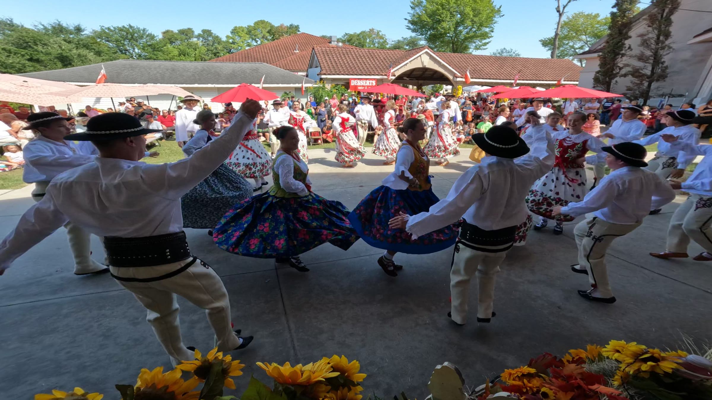 Folk dancers in Kraków dress turning in a wide circle on the festival's outdoor dance floor, the women's blue floral skirts flaring out, the men in white shirts, studded black belts and black felt hats. Behind them a full crowd watches from under red umbrellas, with sunflowers banked along the front of the stage.